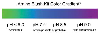 TQC Amine Blush Kit